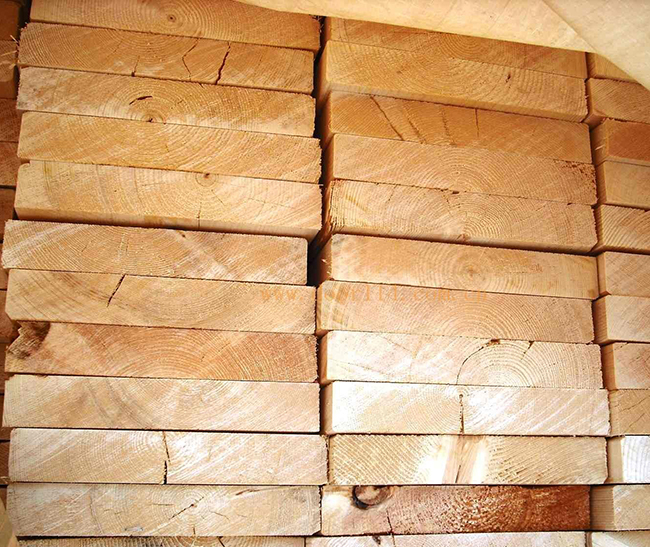 金塔智利辐射松方木