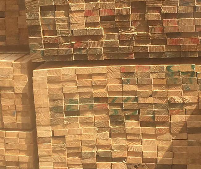 金塔新西兰进口松木